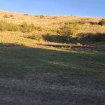 Парцел в Хасково, Македонски - 2000 кв.м за 6 €/кв.м - Снимка #1