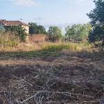 Парцел в с. Селце, Област Добрич - 1026 кв.м за 19 €/кв.м - Снимка #1