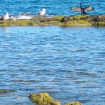 Двустаен апартамент в Димитровград - 48 кв.м за 1137 €/кв.м - Снимка #1