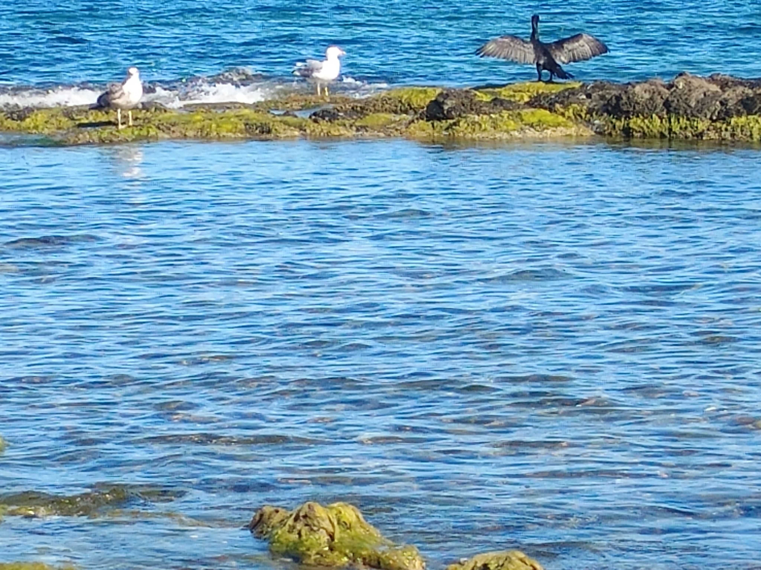 Двустаен апартамент в Димитровград - 48 кв.м за 1137 €/кв.м - Снимка #1