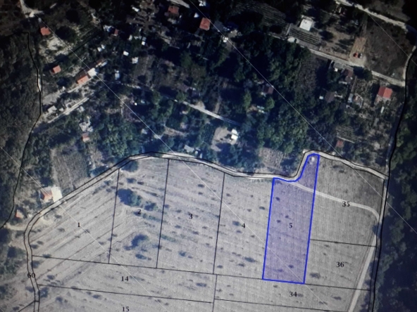 Земеделски имот в Варна, Левски -  кв.м за 3800 €/дка - Снимка #1