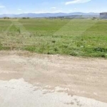 Парцел в с. Бенковски, Област Пловдив - 6300 кв.м за 62 €/кв.м - Снимка #1