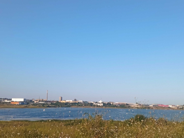 Парцел в Шумен, Дивдядово - 1843 кв.м за 10 €/кв.м - Снимка #1