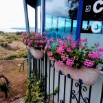 Парцел в Бяла - 700 кв.м за 0 €/кв.м - Снимка #1