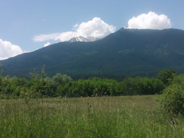 Земеделски имот в Банско -  кв.м за 16 €/дка - Снимка #1