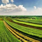 Земеделски имот в с. Александър Стамболийски, Област Добрич -  кв.м за 18 €/дка - Снимка #1