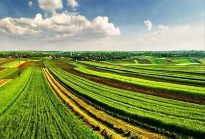 Земеделски имот в с. Александър Стамболийски, Област Добрич -  кв.м за 18 €/дка - Снимка #1