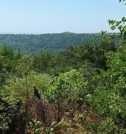 Парцел в Каварна - 540 кв.м за 67 €/кв.м - Снимка #1