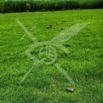 Парцел в Хисаря - 900 кв.м за 29 €/кв.м - Снимка #1