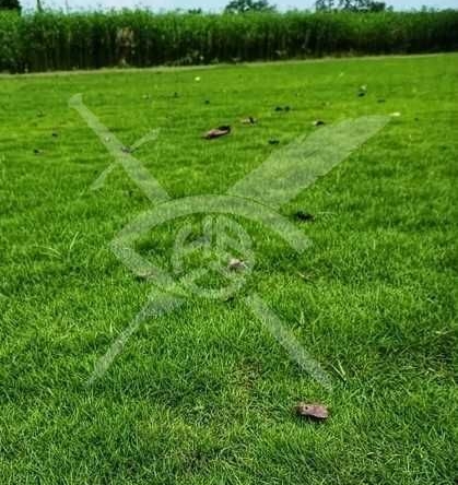 Парцел в Хисаря - 900 кв.м за 29 €/кв.м - Снимка #1