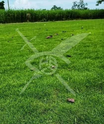 Парцел в Хисаря - 900 кв.м за 29 €/кв.м - Снимка #1