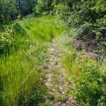 Парцел в Варна, Възраждане 1 - 998 кв.м за 15 €/кв.м - Снимка #1