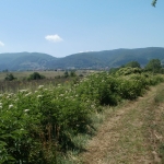 Земеделски имот в София, Люлин 10 -  кв.м за 27 €/дка - Снимка #1