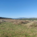 Парцел в с. Добри дял, Област Велико Търново - 2200 кв.м за 4 €/кв.м - Снимка #1