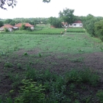 Къща в Стара Загора, Самара 1 - 150 кв.м за 146 €/кв.м - Снимка #1