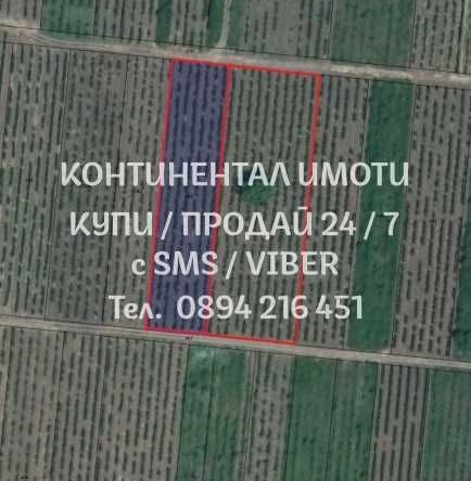 Земеделски имот в с. Брестовица, Област Пловдив -  кв.м за 2142 €/дка - Снимка #1
