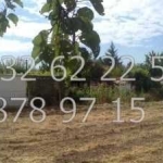 Парцел в с. Кочево, Област Пловдив - 1000 кв.м за 37 €/кв.м - Снимка #1