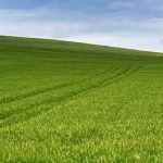 Земеделски имот в Русе, Дружба 1 -  кв.м за 116 €/дка - Снимка #1