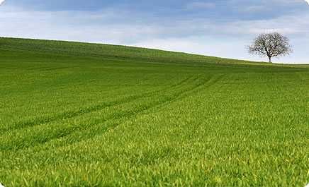 Земеделски имот в Русе, Дружба 1 -  кв.м за 116 €/дка - Снимка #1