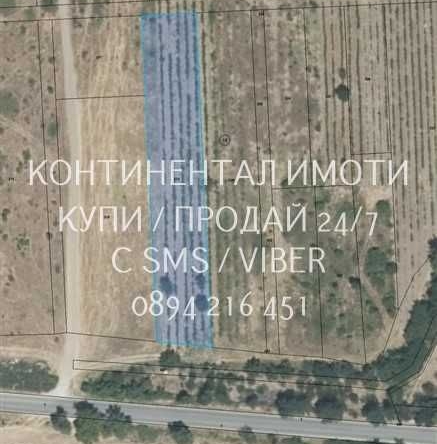 Земеделски имот в с. Устина, Област Пловдив -  кв.м за 3953 €/дка - Снимка #1