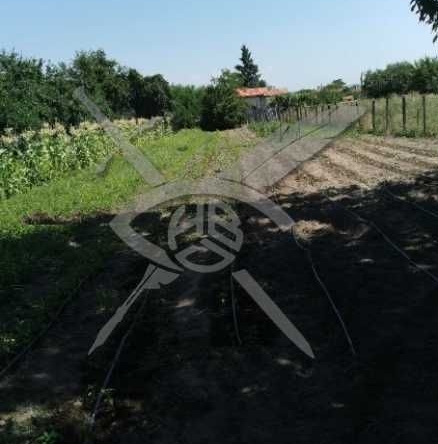 Парцел в с. Старо Железаре, Област Пловдив - 1464 кв.м за 9 €/кв.м - Снимка #1
