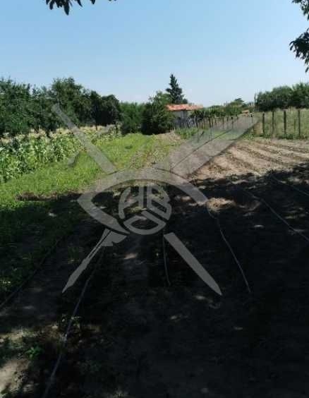 Парцел в с. Старо Железаре, Област Пловдив - 1464 кв.м за 9 €/кв.м - Снимка #1