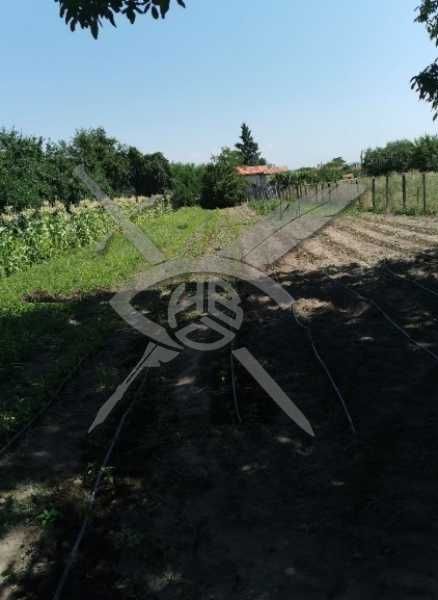 Парцел в с. Старо Железаре, Област Пловдив - 1464 кв.м за 9 €/кв.м - Снимка #1