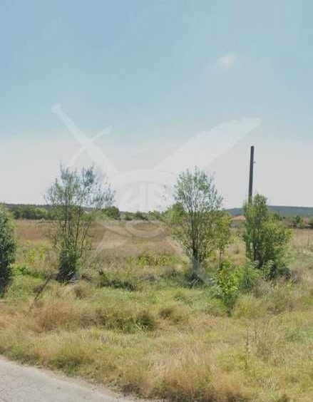 Парцел в с. Кръстевич, Област Пловдив - 6400 кв.м за 11 €/кв.м - Снимка #1