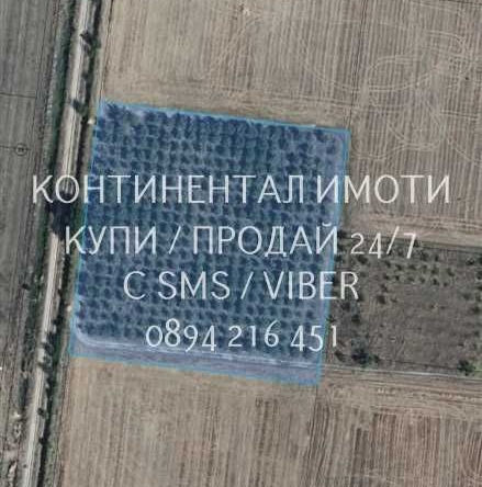 Земеделски имот в с. Граф Игнатиево, Област Пловдив -  кв.м за 3900 €/дка - Снимка #1