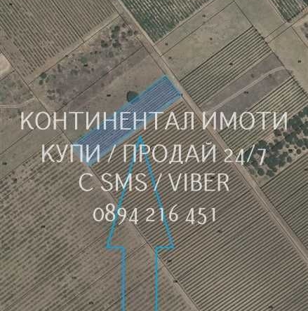 Земеделски имот в с. Брестовица, Област Пловдив -  кв.м за 2933 €/дка - Снимка #1