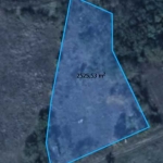 Парцел в с. Войника, Област Ямбол - 2500 кв.м за 6 €/кв.м - Снимка #1