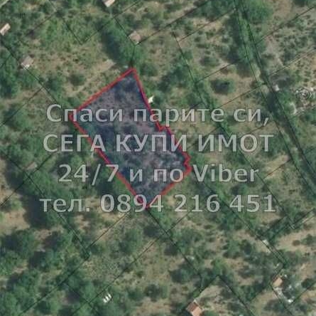 Парцел в Асеновград - 6000 кв.м за 9 €/кв.м - Снимка #1