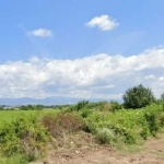 Парцел в с. Светлина, Област Бургас - 3001 кв.м за 26 €/кв.м - Снимка #1