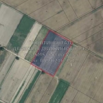 Парцел в с. Бенковски, Област Пловдив - 10000 кв.м за 5 €/кв.м - Снимка #1