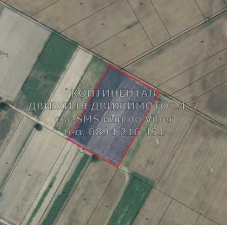 Парцел в с. Бенковски, Област Пловдив - 10000 кв.м за 5 €/кв.м - Снимка #1