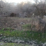 Парцел в Русе, в.з. Касева Чешма - 925 кв.м за 14 €/кв.м - Снимка #1