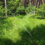 Парцел в с. Гълъбово, Област Пловдив - 1011 кв.м за 70 €/кв.м - Снимка #1