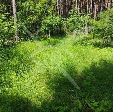 Парцел в с. Гълъбово, Област Пловдив - 1011 кв.м за 70 €/кв.м - Снимка #1