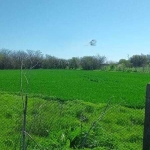 Парцел в с. Смин, Област Добрич - 2400 кв.м за 5 €/кв.м - Снимка #1