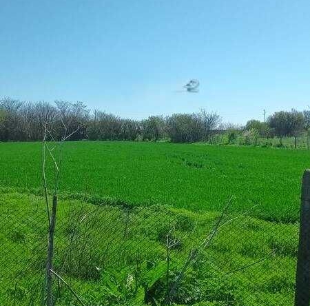 Парцел в с. Смин, Област Добрич - 2400 кв.м за 5 €/кв.м - Снимка #1