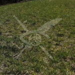 Парцел в Карлово - 2700 кв.м за 5 €/кв.м - Снимка #1