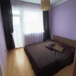 Дава се под наем Тристаен апартамент в София, Дружба 2 - 90 кв.м за 500 € - Снимка #1