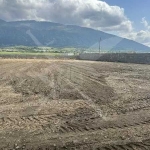 Парцел в Карлово - 3800 кв.м за 174 €/кв.м - Снимка #1