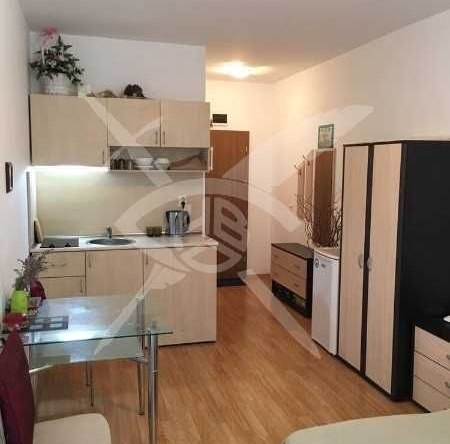 Едностаен апартамент в к.к. Слънчев бряг - 33 кв.м за 765 €/кв.м - Снимка #1