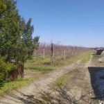 Парцел в с. Калековец, Област Пловдив - 9000 кв.м за 4 €/кв.м - Снимка #1