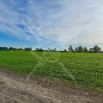 Парцел в с. Ягодово, Област Пловдив - 4215 кв.м за 11 €/кв.м - Снимка #1