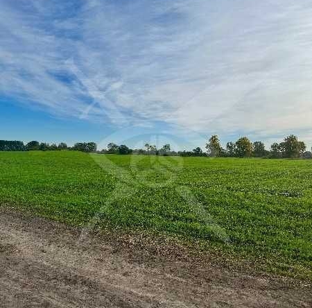 Парцел в с. Ягодово, Област Пловдив - 4215 кв.м за 11 €/кв.м - Снимка #1