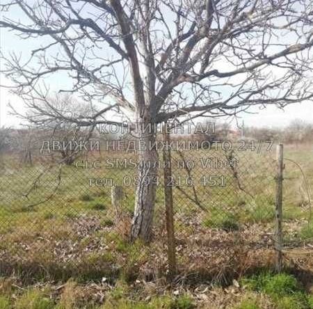 Парцел в с. Черничево, Област Пловдив - 660 кв.м за 11 €/кв.м - Снимка #1