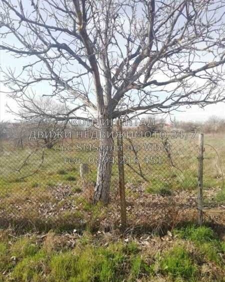 Парцел в с. Черничево, Област Пловдив - 660 кв.м за 11 €/кв.м - Снимка #1