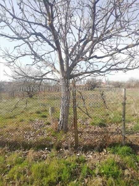 Парцел в с. Черничево, Област Пловдив - 660 кв.м за 11 €/кв.м - Снимка #1